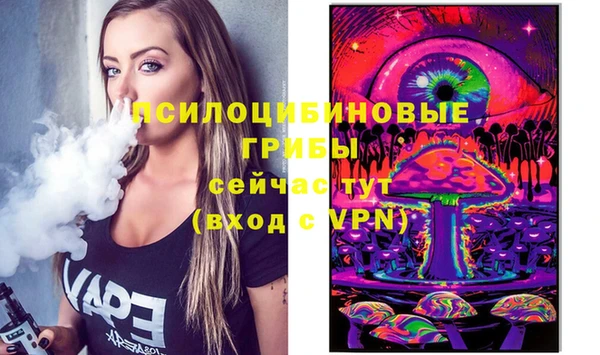 таблы Няндома