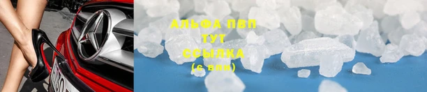 apvp Вуктыл