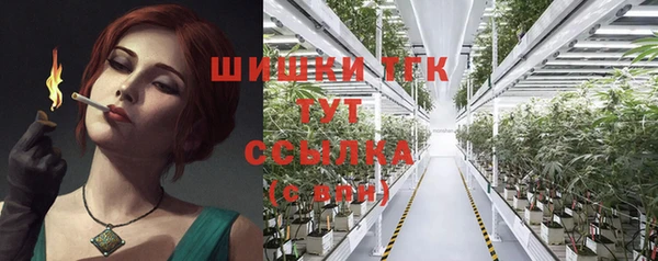mix Белокуриха