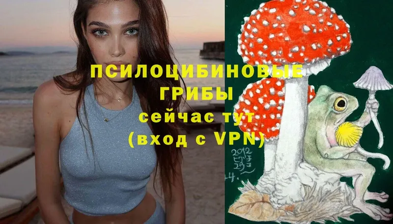 Галлюциногенные грибы Psilocybine cubensis ОМГ ОМГ Поронайск